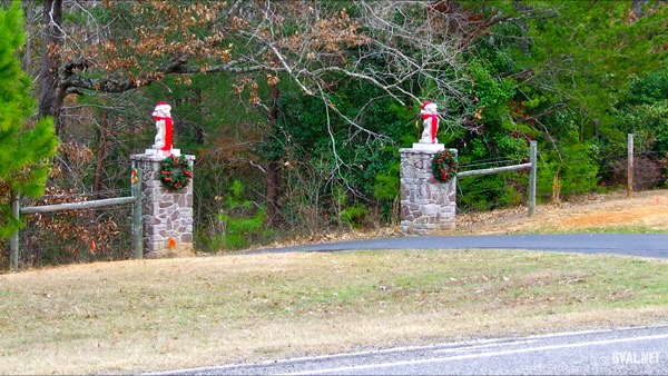 Driveway Lions with Festive Christmas Attire