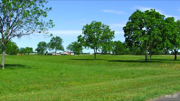 View of Stallion Lake Ranch from CR-424