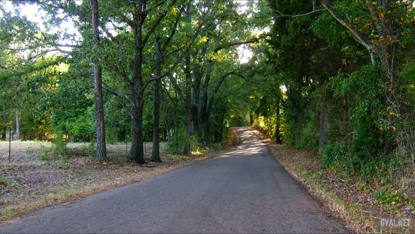 Wooded Road CR-422