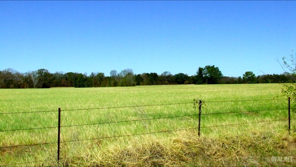 Field On Willow Branch Road CR-426