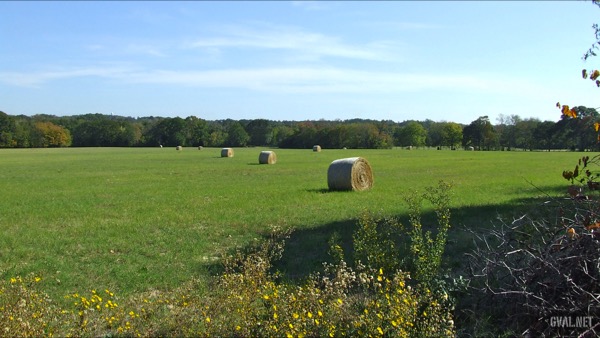 November Hay Harvest