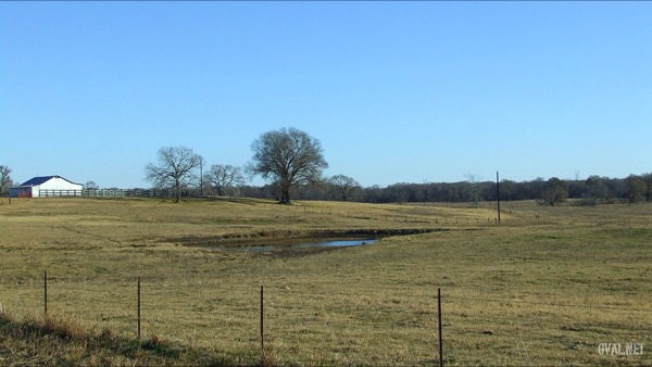 White Barn And Pond On FM1995